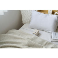 アイリスオーヤマ ふとん乾燥機 カラリエmini TURBO JSK-S10-HC 1台