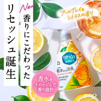リセッシュ 除菌EX アールグレイ＆シトラスの香り 詰め替え 320mL 1個 消臭スプレー 花王