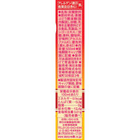 南日本酪農協同 スコールマンゴー 500ml 1箱（24本入）