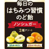 のど飴 キャンディ 毎日のはちみつ習慣のど飴 1セット（1個×6）