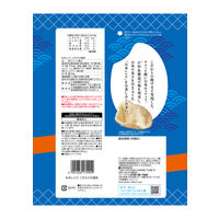 せんべい 煎餅 食べきりサイズ  お米レシピ　こだわりの塩味 44g 1セット（1個×6）