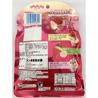 キャンディー 飴 苺アソートキャンディ 85g 1セット（1個×5）