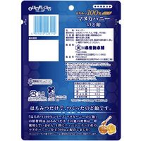キャンディーのど飴 はちみつ100％シリーズ　マヌカハニーのど飴 45g 1セット（1個×10）
