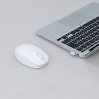 ナカバヤシ 無線静音 3ボタン BlueLEDマウス ホワイト MUS-RKT247W 1個