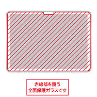 ナカバヤシ iPad 10.9インチ用 液晶保護ガラス 光沢ブルーライトカット TBF-IP22GKBC 1個