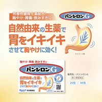 パンシロンG 48包 ロート製薬 胸やけ 胃痛 胃酸過多 飲みすぎ【第2類医薬品】