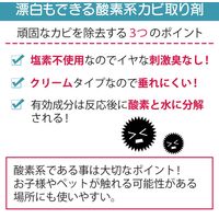 コモライフ 窓周りに使えるカビ取りクリーム 218943 1個（直送品）