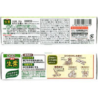 歯磨き粉 生葉（しょうよう） 無研磨タイプ 歯槽膿漏を防ぐ 薬用ハミガキ ハーブミント味 95g 小林製薬