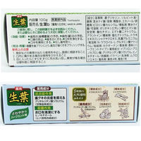 生葉（しょうよう） 歯槽膿漏を防ぐ 薬用ハミガキ ハーブミント味 100ｇ 小林製薬 歯磨き粉