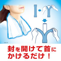 熱中対策 冷やしタオル 小林製薬 1袋(5本入)　使い捨て 冷感タオル 冷却タオル ひんやりグッズ ネッククーラー