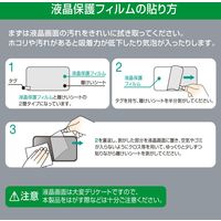 ナカバヤシ iPhone 2020 5.4inch 用液晶保護フィルム のぞき見防止 SMF-IP202FLGPV 1個（直送品）