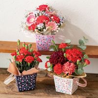 ヘッズ シャルムコレクションPPバスケット-1/ピンク CHM-PBM1 1セット(50枚:10枚×5パック)（直送品）