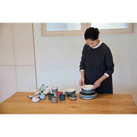 丸利玉樹利喜蔵商店 プレート 9cm S AirStack エアスタック 磁器 美濃焼 レッド 423206 1個（直送品）