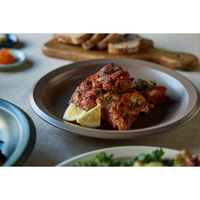 丸利玉樹利喜蔵商店 プレート 23cm L AirStack エアスタック 磁器 美濃焼 モカ 423217 1個（直送品）