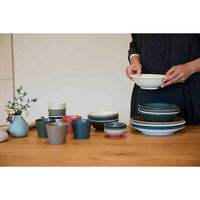 丸利玉樹利喜蔵商店 ボウル 14.5cm AirStack エアスタック 磁器 美濃焼 ラインブルー 423243 1個（直送品）