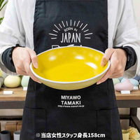 丸利玉樹利喜蔵商店 プレート 22cm Palm パーム 陶器 イエロー 444866 1個（直送品）