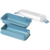 パール金属 弁当箱 ホームレーベル ランチボックス長方形 ナイルブルー 468005 1個（直送品）