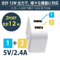 日本トラストテクノロジー CUBE USB充電器 2P 12W ホワイト CUBEUSB2P12W-WH 1個