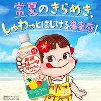 伊藤園 不二家 南国フルーツスカッシュ 500ml ペットボトル 1箱（24本入）