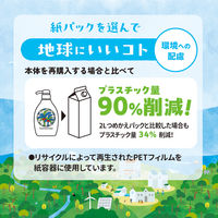 ヤシノミ洗剤 食器用洗剤 無香料・無着色 詰め替え用 超特大 1.9L 紙パック 1個 サラヤ
