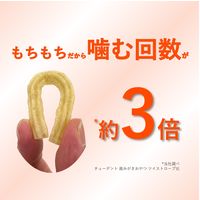 チューデント 歯みがきおやつ もちもちスティック チキン味 国産 50g 3袋 犬 デンタルケア Hartz（ハーツ）