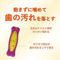 チューデント 歯みがきおもちゃ ボーン S さつまいもフレーバー 3個 犬 おもちゃ デンタルケア Hartz（ハーツ）