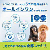チューデント 歯みがき専用ガム オールインワン SS 国産 約28本入 (65g) 3袋 犬 おやつ 歯磨き Hartz（ハーツ）