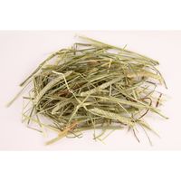 フレッシュチモシー シングルチモシー ウサギ用 600g 1セット（1袋×3）アラタ 牧草