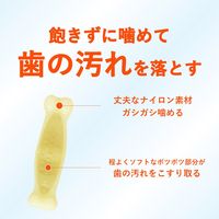 チューデント 歯みがきおもちゃ ボーン S ソフトタイプ ミルクフレーバー 3個 犬 おもちゃ デンタルケア Hartz（ハーツ）