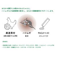 ペットの恵み365 うまみペースト おなかの健康をサポート 国産（10gx4本）1セット（1袋×3）新東亜交易 ドッグフード