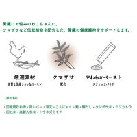ペットの恵み365 猫用 うまみペースト 腎臓の健康をサポート 国産（10gx4本）1セット（1袋×3）新東亜交易 キャットフード
