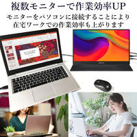 YAMAZEN モバイルモニター 15.6インチ FHD IPSパネル 保護カバー兼用スタンド付 QMMP-156 1台