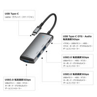 Vodaview USBーC to OTG 4 in 1 HUB PD60W VV-USB375-VV 1本
