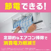 エアコン 掃除 除菌 らくハピ エアコン洗浄スプレー Nextplus エアリーフローラル 420mL 消臭 1セット（2本入×4パック） アース製