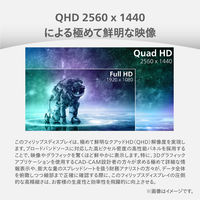 PHILIPS 液晶ディスプレイ 27インチ/2560×1440 27E2N2500/11 1台（直送品）