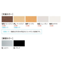 【軒先渡し】ニシキ工業 スタックテーブル 幅1200×奥行600×高さ720mm ホワイト×シルバー AHFL-S1260P-WH 1台（直送品）