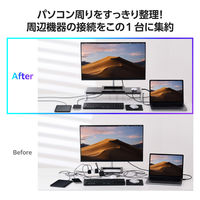 モニタースタンド型 ドッキングステーション 12in1 DST-W08 エレコム 1個（直送品）