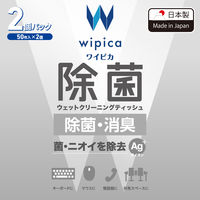 ウェットティッシュ クリーナー 50枚入り 2個パック 除菌 消臭 アルコール WC-AG100H2 エレコム 1個（直送品）