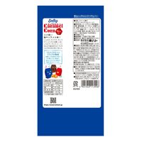 コーンスナック 食べきりサイズ ソルティ キャラメルコーン 67ｇ 1セット（1個×6）