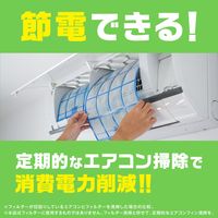 エアコン 掃除 除菌 らくハピ エアコン洗浄スプレー Nextplus フレッシュフォレスト 420mL 消臭 1セット（1本×4） アース製薬