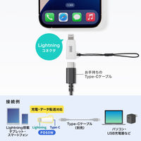サンワサプライ USB TypeーC to Lightning変換アダプタ(MFi認証) AD-USB30LCFW 1個
