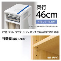 大洋 Shelfit Shelfit カラーラック 幅400×奥行460×高さ700mm NC7040D(DB) 1台（直送品）