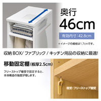 大洋 Shelfit Shelfit カラーラックタフ 幅300×奥行460×高さ881mm NCタフ9030D(LN) 1台（直送品）