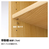 大洋 Shelfit バリュープライスカラーラック 幅1165×奥行310×高さ600mm ブラウン NC6012 (BR) 1台（直送品）