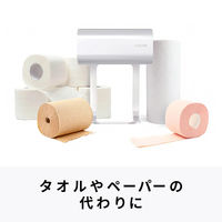 AIOLUS コンパクトハンドドライヤー 家庭用 事務所用 UV除菌 ホワイト NYUHD-210W 1台（直送品）