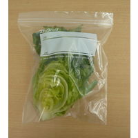 新鮮保存ストックバッグ 中 18cm×20cm 1箱（22枚入） 大日産業