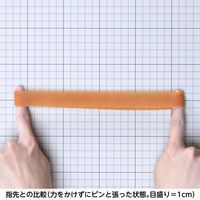 共和 オーバンド透明袋 6本 #60 GSA-N-013 1袋