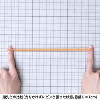 共和 オーバンド透明袋 500g #610 GSA-N-006 1袋