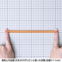 共和 オーバンド透明袋 50g #570 GRA-N-037 1袋