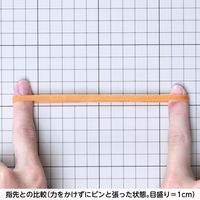 共和 オーバンド透明袋 50g #365 GMA-N-013 1袋